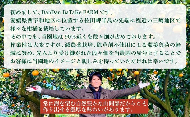 先行予約】【訳あり】新甘夏 サンフルーツ 約5kg |柑橘 みかん 果物 フルーツ 愛媛県産 西宇和産 農家直送 ※離島への配送不可　※2027年3月中旬より順次発送予定 IKTAU017