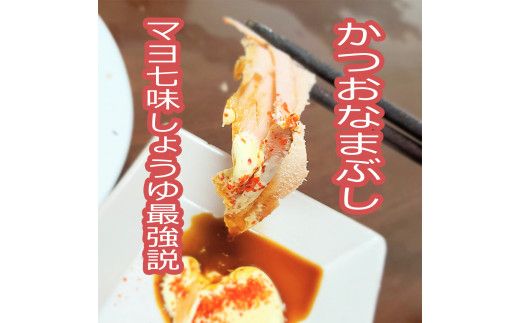 かつお生節1kg（3～5本）【有限会社　竹内商店】 [BQAX008]