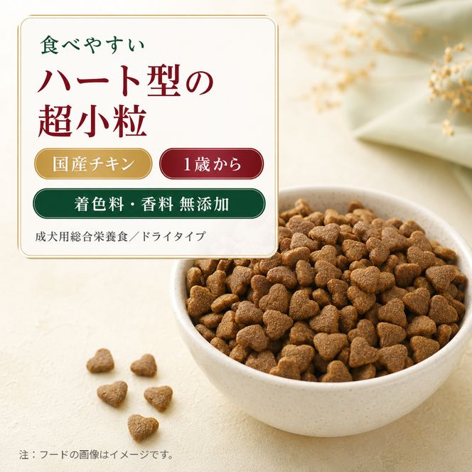 ビューティープロ ドッグ 低脂肪 1歳から 5.2kg ｘ1(ケース単位) ドッグフード