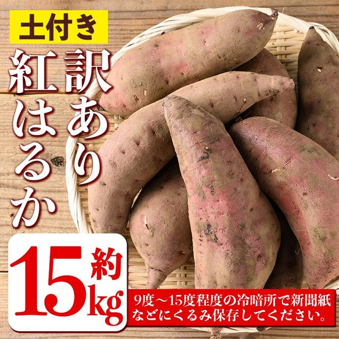 isa876 《訳あり》熟成紅はるか(約15kg・2L～3Lサイズ混合) 訳あり さつまいも 紅はるか 鹿児島 生芋 完熟 長期熟成 土付き べにはるか サツマイモ 焼き芋に 【いさ工房】