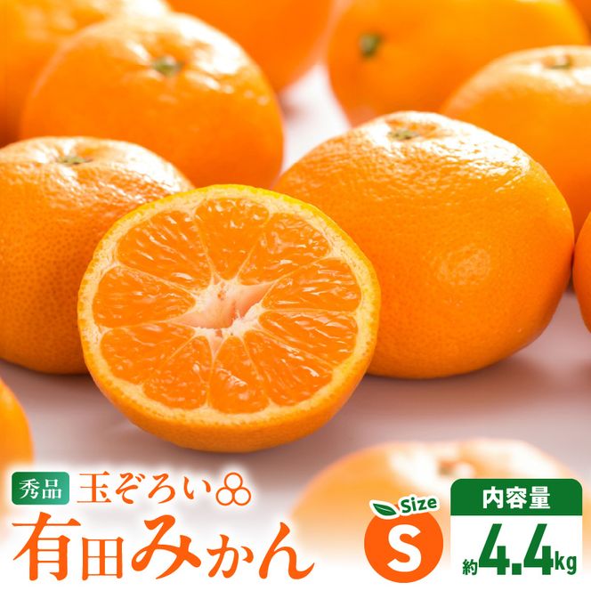 【2026年先行予約】みかん Ｓサイズ 秀品 箱込 5kg ( 内容量 4.4kg ) 有田みかん 和歌山県産 産地直送 贈答用 【みかんの会】_MK1046