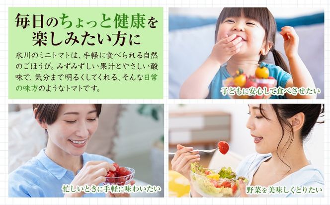 ミニトマト 約1kg 約2kg 約3kg 氷川アグリクラブ トマト 熊本《2月上旬-4月末頃出荷》熊本県 氷川町 野菜 熊本県産 サラダ プチトマト 国産---hkw_agrmt_af24_26_5000_1kg---