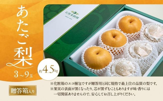 梨 2026年 先行予約 あたご梨 3～9玉 合計約4.5kg 贈答箱【11月下旬～12月中旬頃発送】 ナシ なし 岡山県産 国産 フルーツ 果物 ギフト 石原果樹園 繊細な味 ジャンボ梨 