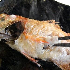 【ふるさと納税】のどぐろ 生冷凍と干物の詰合せ ノドグロ 下処理済 冷凍 干物 セット 詰め合わせ 約120g×3尾 + 60～80g×3枚 魚 魚の干物 煮つけ 塩焼き 海鮮 魚介 兵庫県 新温泉町 送料無料