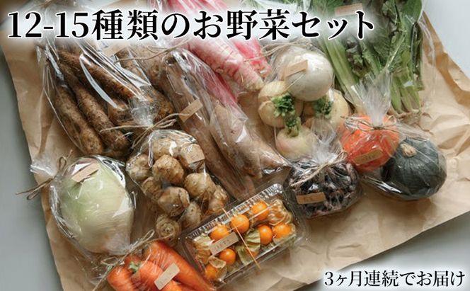 野菜の定期便 てのひら小諸 12～15種類 3ヶ月連続お届け 