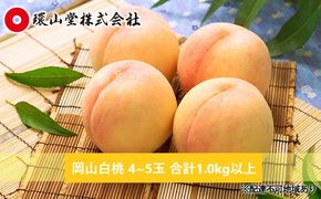 桃 2026年 先行予約 岡山 白桃 4～5玉 合計1.0kg以上 もも モモ 岡山県産 国産 フルーツ 果物 ギフト 環山堂