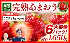 あまおう 約1650g（約275g×6パック） 【先行受付／2026年3月下旬以降順次発送予定】いちご 苺 福岡高級 フルーツ お取り寄せ ご当地グルメ 福岡土産 取り寄せ グルメ 福岡県 食品 社会福祉法人 猪位金福祉会