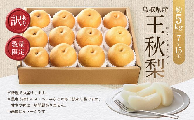 【先行予約】訳あり 数量限定 鳥取県産 王秋梨（おうしゅうなし） 約5kg （7～15玉）≪2026年11月中旬頃出荷≫ 312011_GT003