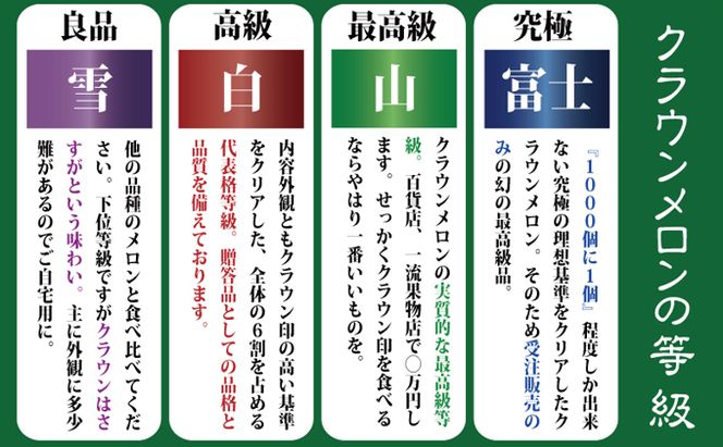 【10ヶ月定期便】『クラウンメロン ”極メロン” 1玉 』 　果物 フルーツ デザート メロン マスクメロン 青肉 高級 ギフト 贈り物 静岡県産 袋井市