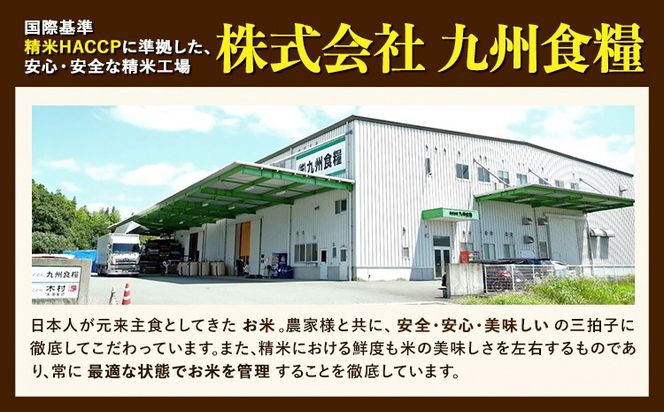 【令和7年産】米 ひのひかり 無洗米 10kg 2kg×5袋 くまモン袋入り 株式会社 九州食糧《30日以内に発送予定(土日祝除く)》熊本県 御船町 精米 こめ コメ 小分け 便利 くまモン 熊本県産---mifune_kss_3_10kg---