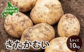 【 2026年 出荷 先行予約 】 北海道 倶知安 産 じゃがいも  きたかむい  L サイズ 10kg 馬鈴薯 いも 芋 グリーンアースファーム 農家 直送 野菜 産地直送