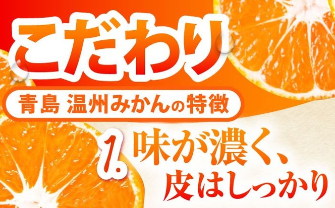 【2026年1月～発送】青島 温州みかん 10kg / みかん ミカン 蜜柑 甘い フルーツ 果物 / 南島原市 / 蜜柑屋まつお[SCQ003]