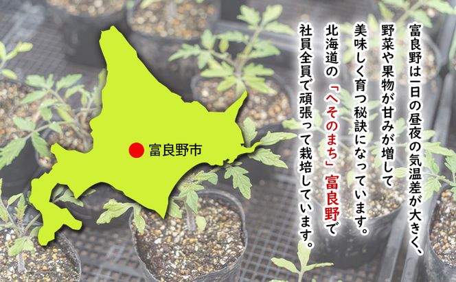 【2026年秋発送】ふらの じゃがいも（品種：男爵） 計4kg LM混合 北海道 富良野市 野菜 新鮮 直送 じゃがいも 男爵 道産 ふらの 送料無料 数量限定 先着順
