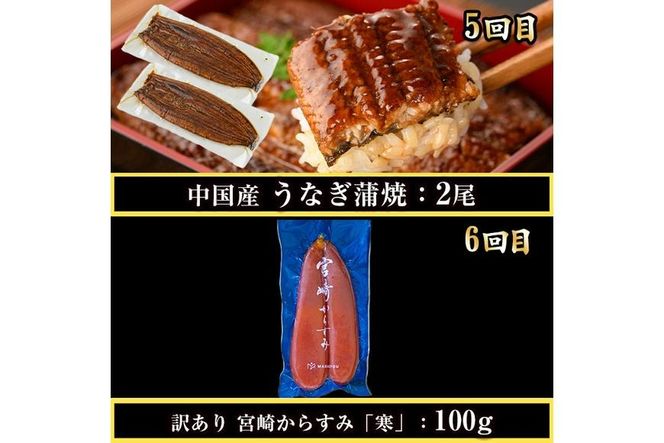 ＜定期便・全6回(連続)＞さかなのまち 門川 こだわり 定期便 (特大 あじ 開き・味付け すりみ 2種・宮崎牛 入り ハンバーグ・骨取り 肉厚 サバ切身・中国産 うなぎ 蒲焼・訳あり からすみ)アジ さば おかず 惣菜 骨とり 宮崎県 門川町【AW-65】【丸正水産】