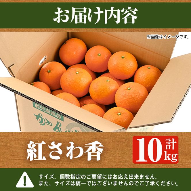 ＜先行予約受付中！2027年1月上旬以降順次発送予定＞数量限定！紅さわ香(10kg) 国産 鹿児島県 阿久根市 果実 果物 フルーツ 柑橘 紅甘夏 みかん ミカン 期間限定 数量限定【桐野柑橘株式会社】akn070-03