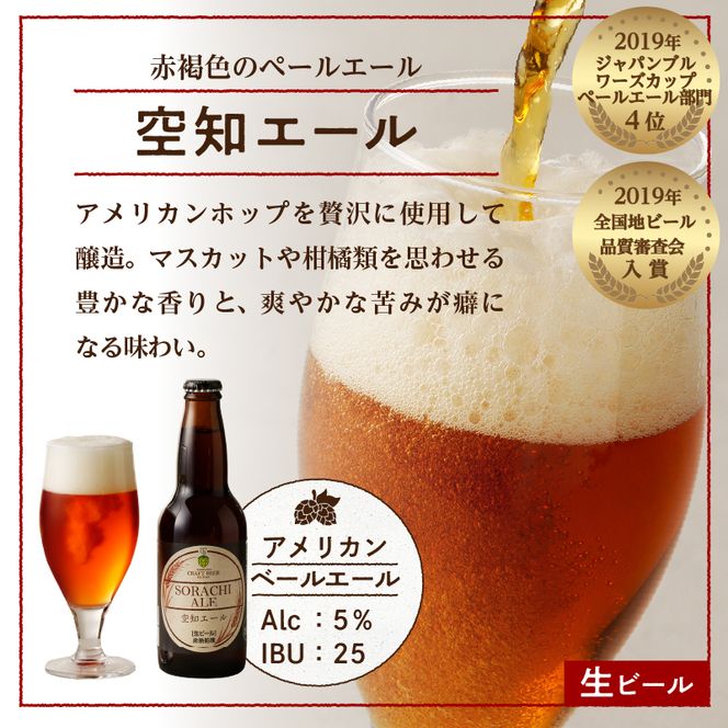 大雪地ビール 滝川クラフトビール 3種 飲み比べ 各2本 計6本｜北海道 滝川市 ビール クラフトビール セット 詰め合わせ 詰合せ 地ビール