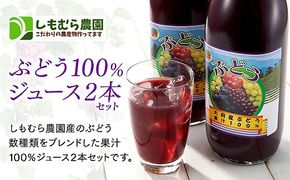 ぶどう１００％ジュース２本セット 232238_C017-PR