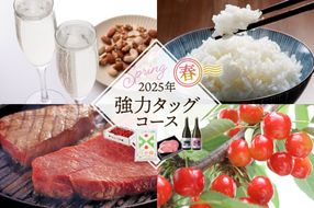 【定期便4回】強力タッグコース春季分(2025年5月スタート) さくらんぼ 山形牛ステーキ つや姫 酒 hi999-026-2