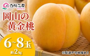 桃 2026年 先行予約 黄金桃 2kg 6～8玉 もも モモ 岡山 国産 フルーツ 果物 ギフト 桃茂実苑 果肉 