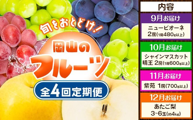 yR}szy2026Ns\zy4ցzԂǂ  R̃t[c 4R[X RY VC}XJbg  j[sI[l   ЎRs2026N9{-12oׁtR }s t[c ʕ Ԃǂ  }XJbg 