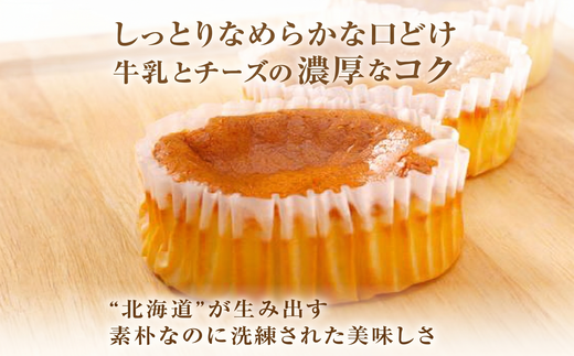 《話題のスイーツ》赤いサイロ 18個【清月】 ( チーズケーキ お菓子 スイーツ 北海道 お土産 お茶菓子 サイロ デザート 人気 小分け 個包装  ふるさと納税 )【008-0003】
