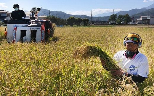 【令和７年度産先行予約】ヒノヒカリ 10kg ※11月以降順次発送予定　精米済み 新米 ひのひかりお米 精米 １０キロ 米 ライス こめ おこめ １０kg