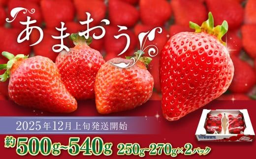 ytz܂i~j 250g`270g×2pbN v500g`540gy2025N12{-2026N1{\z   C`S ʕ t[c