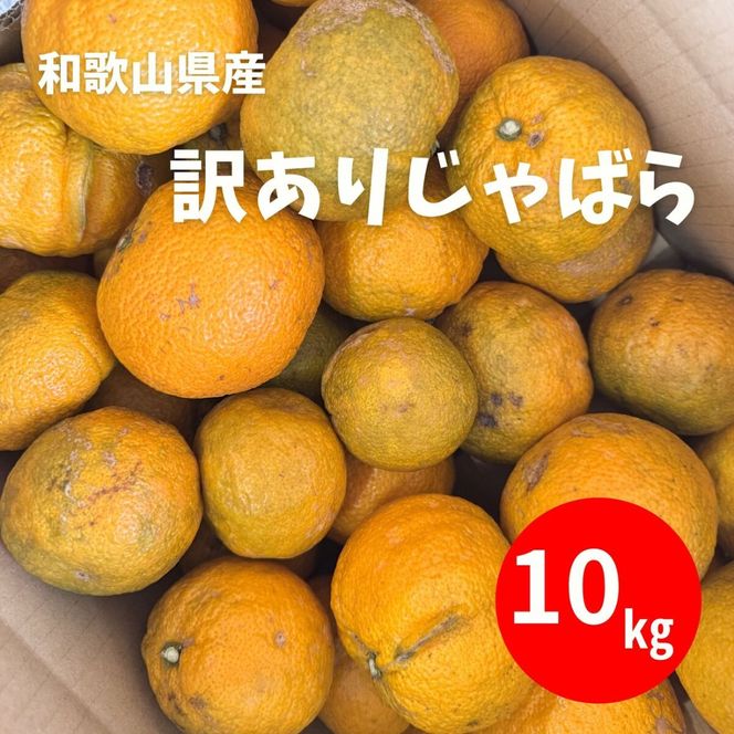 訳あり じゃばら 10kg (56～88玉) DJ060