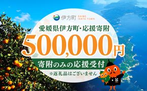 【返礼品なし】愛媛県伊方町・応援寄附500,000円（寄附のみの応援受付 ※返礼品はございません） IKTBG008