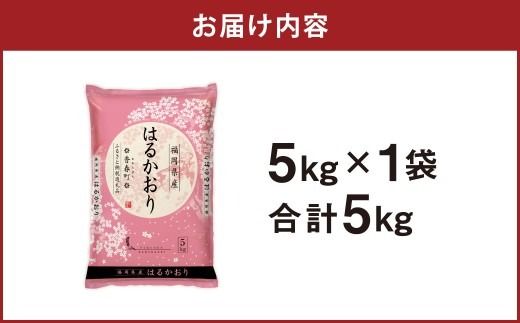 はるかおり 精米 5kg 【令和7年産】 米 こめ コメ お米 ライス 白米 国産 国産米 福岡県産 福岡県 香春町 常温