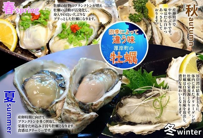 牡蠣 あさり カキはお手軽、あさりは砂出し済みおいしい2種 セット 生食 むき身 生牡蠣 貝 海鮮 魚介類 食べ比べ