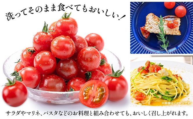 ミニトマト とれたてミニトマト 2kg トマト 野菜 サラダ ダイエット おやつ パスタ マリネ 有機肥料 ミニトマト宮本《1月中旬-6月中旬頃出荷》 熊本県 長洲町 送料無料 トマト とまと 野菜 国産 熊本県産---sn_miyamtmt_q16_r7_10000_2k---