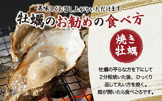 【先行予約／2026年12月より順次発送】I-55生食用浦村牡蠣１５個入りセット