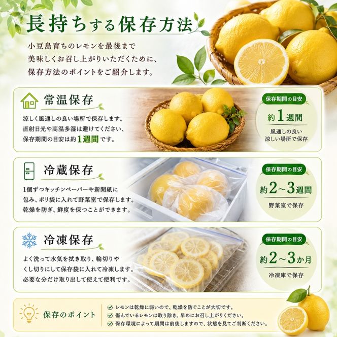 レモン 小豆島 瀬戸内 約3kg 15～30玉 小豆島育ち 島育ち まろやか 酸味 潮風 ミネラル 国産レモン 檸檬 柑橘 柑橘類 果物 フルーツ くだもの 果物類 果実 生鮮 レモネード レモンティー はちみつレモン ギフト 贈答用 五色青果 香川 土庄 香川県 土庄町