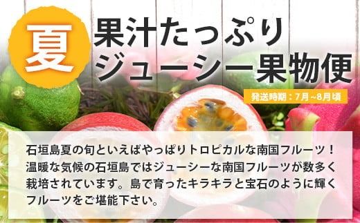 【4回/年定期配送 石垣島のタカラモノ便】 SH-3 春夏秋冬のお楽しみ(野菜 鮮魚 フルーツ 肉 牛肉 豚肉 加工品 八重山そば かまぼこ マグロ 果物 パイン マンゴー 頒布会 セット 贈答 4ヵ月)