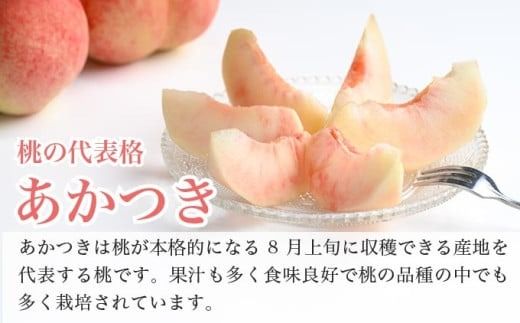 あかつき 約3kg 7～12玉 ［おぶせファーマーズ］桃 もも モモ フルーツ 果物 クール便 冷蔵便 長野県産 信州産 令和7年産【2025年7月下旬〜8月上旬発送】 ［F-16］