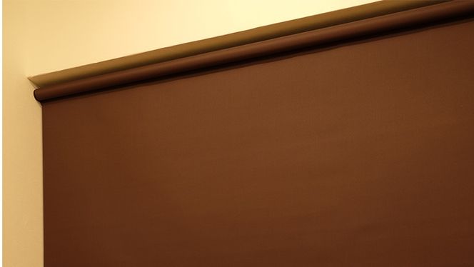 y錧΂݂炢szTOSO [XN[ {[`F[ Ռn 90cm×220cmiuEjuCh VvCeA Ռ ՔM fʃXN[ [BD176-NT]