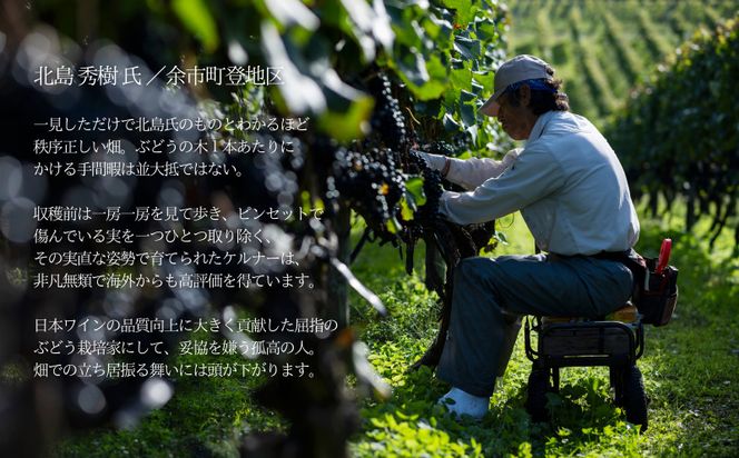【余市】葡萄作りの匠「匠の白」セット【北海道ワイン】_Y034-0135