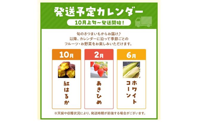 まつみやファーム獲れたて野菜・フルーツ3種定期便 ふるさと納税 果物 くだもの フルーツ ふるーつ 野菜 やさい 芋 穀物 紅はるか さつまいも いちご イチゴ 苺 ホワイトコーン 農家応援 生産者応援 送料無料　MY00023
