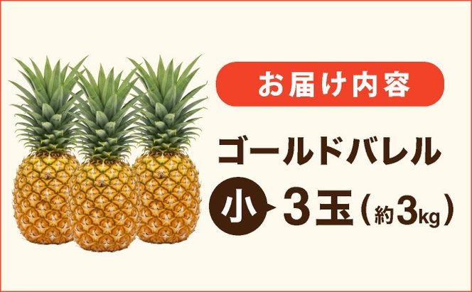 ≪5月上旬順次発送≫ゴールドバレル 小 3玉（約3kg） TP-15