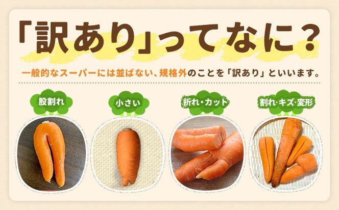 人参 訳あり にんじん ニンジン キャロット 2kg 5kg《12月中旬-3月上旬頃出荷》熊本県 大津町 人参 送料無料 にんじん キャロット 熊本県産 にんじん 5kg---oz_wknnjn_g123_25_3500_2kg---