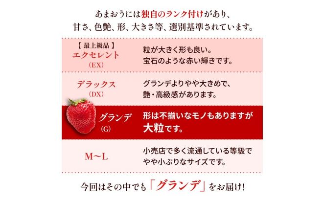 苺 福岡県産 あまおう 500g（2パック）先行予約 発送予定：2026年12月より順次発送 いちご イチゴ 果物 ※配送不可:離島