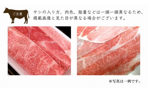 ＼選べる発送月／【 常陸牛 】ご自宅用 すき焼き しゃぶしゃぶ 用 ( 赤身 ) 900g モモ ・ ウデ ( 茨城県共通返礼品 ) 黒毛和牛 和牛 国産牛 訳あり わけあり ご家庭用 国産 お肉 肉 すきやき A4ランク A5ランク ブランド牛 家庭用 簡易包装 自宅用