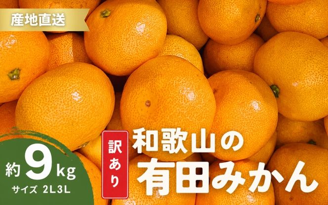 家庭用 有田みかん 和歌山 訳あり わけあり 大玉(2L,3Lサイズ混合) 約9kg【11月上旬～1月下旬頃に順次発送】/ みかん フルーツ 果物 くだもの 有田みかん 蜜柑 柑橘【ktn012B】