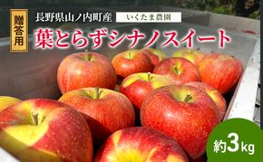 りんご 贈答用 葉とらず シナノスイート 約 3kg フルーツ 果物 旬 ギフト 贈答 贈答品