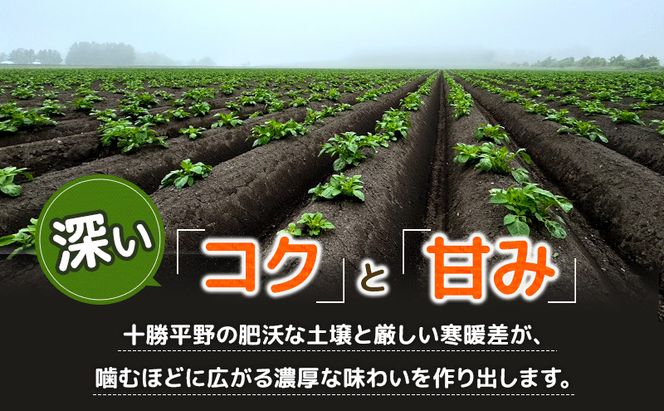 先行予約/2026年秋発送 北海道 十勝 幕別産 じゃがいも インカのめざめ 約5kg【横山農園】  野菜 根菜 フライドポテト ポテトチップス 変色しにくい 煮崩れしにくい 黄金色 北海道のジャガイモ 
