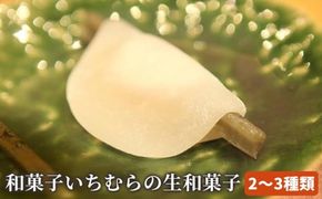 手作り 和菓子いちむらの生和菓子 12個前後 ［和菓子いちむら］和菓子 上生菓子 お菓子 お茶席 お祝い スイーツ 長野 信州 小布施 お取り寄せ 詰め合わせ 詰合せ ［A-56］