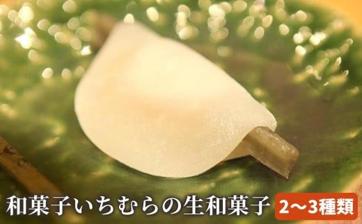 手作り 和菓子いちむらの生和菓子 12個前後 ［和菓子いちむら］和菓子 上生菓子 お菓子 お茶席 お祝い スイーツ 長野 信州 小布施 お取り寄せ 詰め合わせ 詰合せ ［A-56］