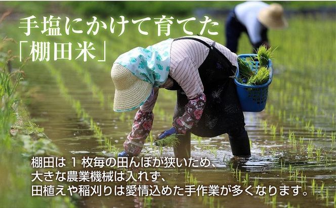 【無地熨斗】 棚田米 魚沼産 コシヒカリ 5kg 新潟県 十日町市 松代地区 限定 棚田 こしひかり （お米屋秘伝！美味しいご飯の炊き方ガイド付き） 精米 ブランド米 銘柄米 
