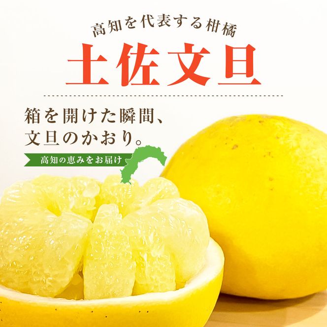 先行予約 文旦 家庭用 約10kg 土佐文旦 L～4L 混合サイズ 高知 ブンタン ぶんたん 旬 柑橘 かんきつ 柑橘類 フルーツ 果物 くだもの デザート おやつ 爽やか 甘い スイーツ 美味しい おいしい 常温